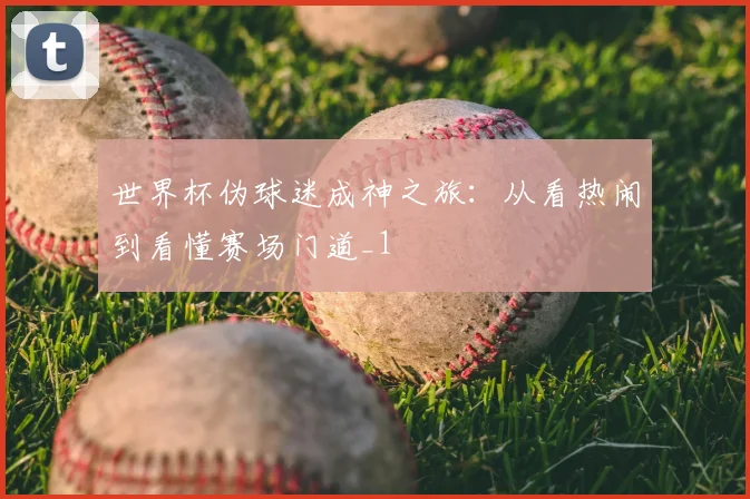 世界杯伪球迷成神之旅:从看热闹到看懂赛场门道_1