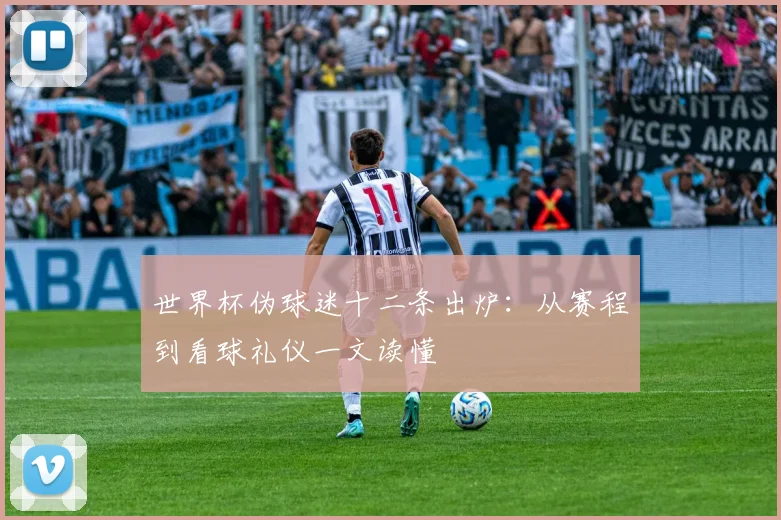 世界杯伪球迷十二条出炉：从赛程到看球礼仪一文读懂