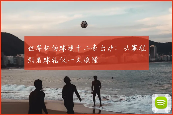 世界杯伪球迷十二条出炉:从赛程到看球礼仪一文读懂